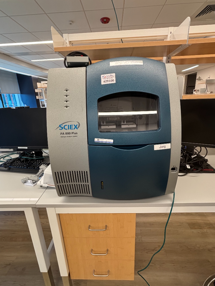 Image of Sciex PA 800 Plus Capillary Electrophoresis